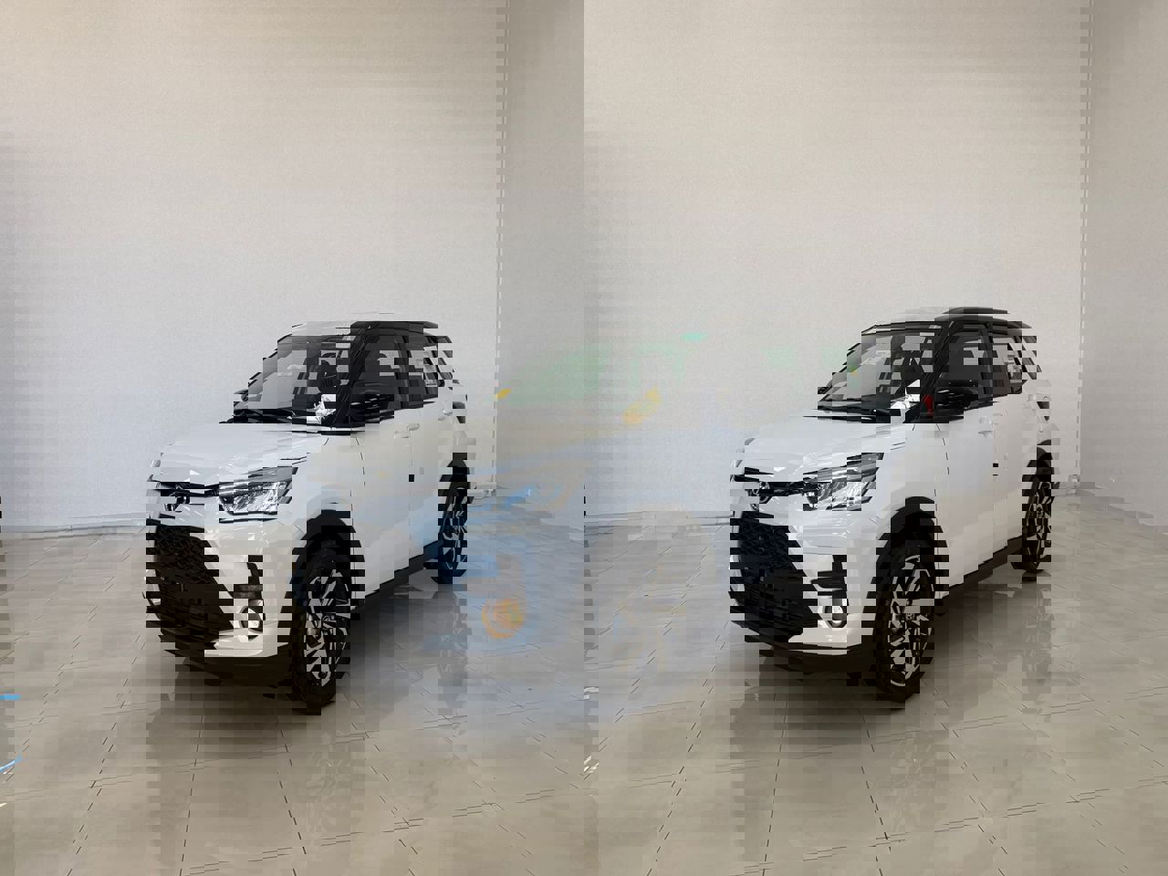 رايز 2026 ليميتيد 