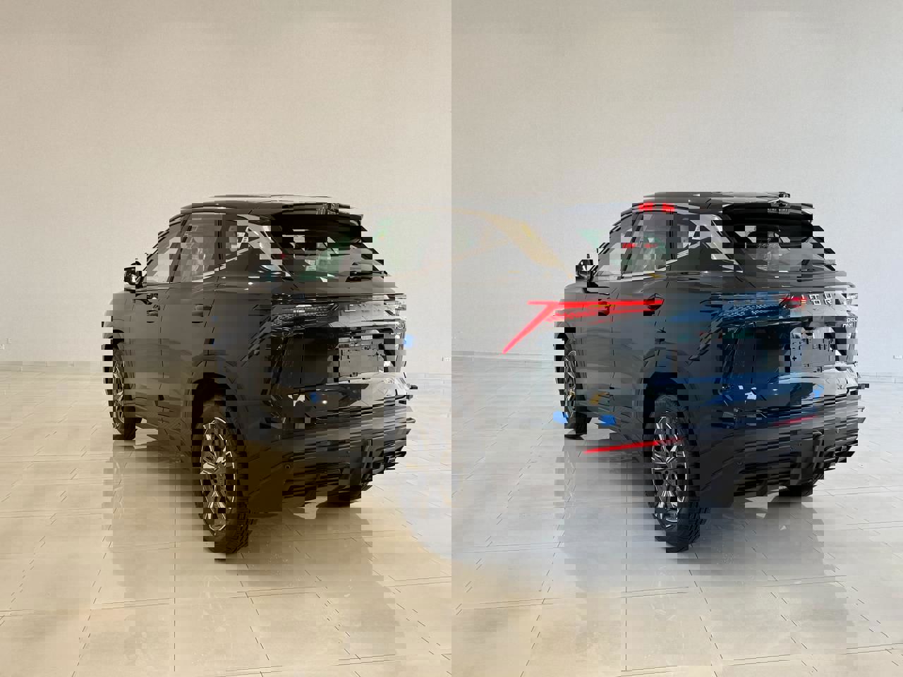 جيتور داشينج 2026